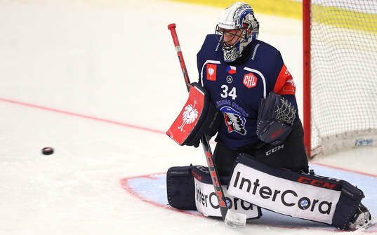 Ishockey, CHL PILSEN,CZECH REPUBLIC,15.JAN.19 - ICE HOCKEY