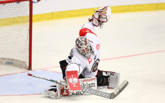 Ishockey, CHL PILSEN,CZECH REPUBLIC,15.JAN.19 - ICE HOCKEY