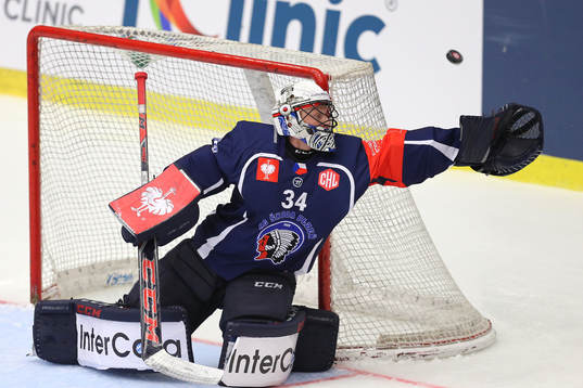 Ishockey, CHL PILSEN,CZECH REPUBLIC,15.JAN.19 - ICE HOCKEY