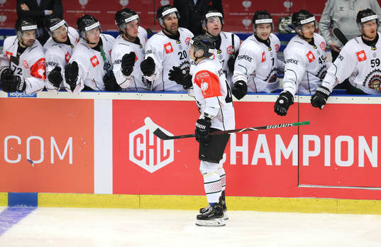 Ishockey, CHL PILSEN,CZECH REPUBLIC,15.JAN.19 - ICE HOCKEY