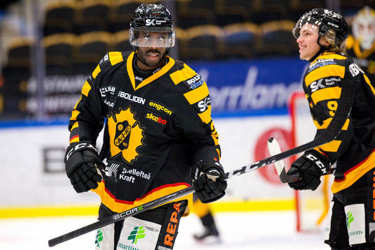 Skellefteås Edwin Hedberg jublar