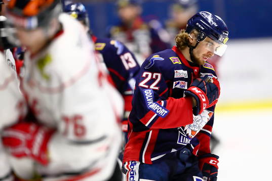 Linköpings Adam Brodecki  jublar