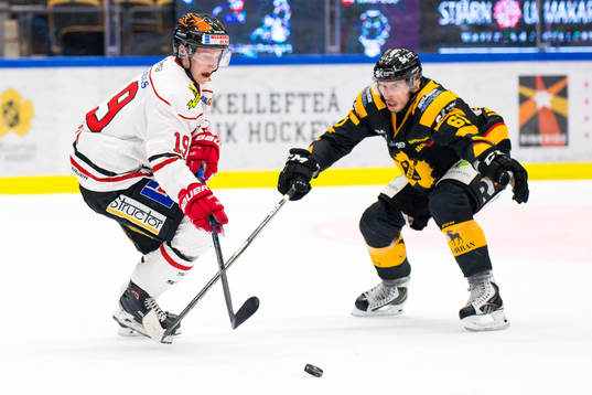 Skellefteås Fredrik Lindgren