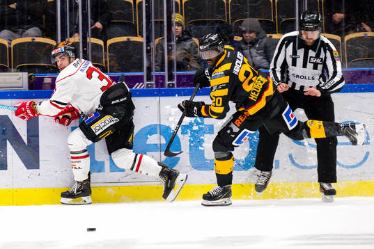 Skellefteås Edwin Hedberg