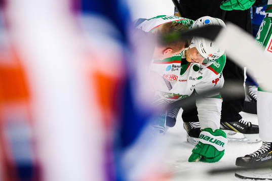 Rögles Trevor Mingoia skadar sig