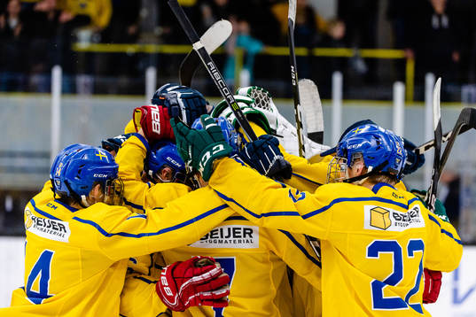 Sveriges spelare jublar