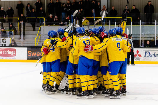Sveriges spelare jublar