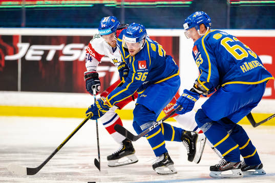 Jiri Sekac of Czech Republic and Emil Larsson  of Sweden