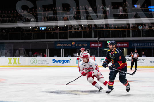 Timrås Hampus Larsson och Djurgårdens Jason Garrison