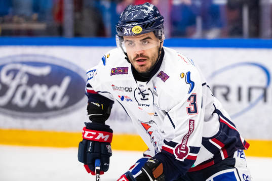 Linköpings Almen Bibic