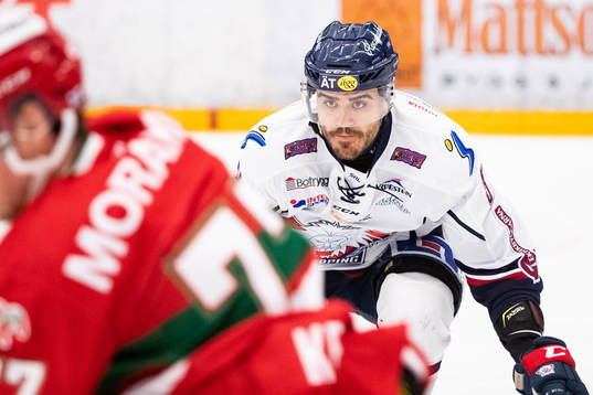 Linköpings Almen Bibic