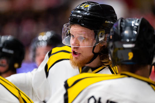 Brynäs Ludvig Nilsson