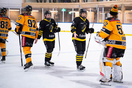 s och Luleås spelare tackar varandra