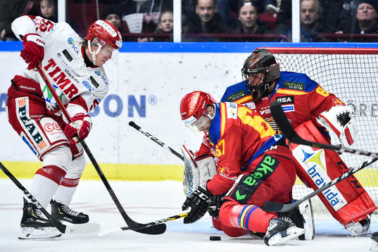 Timrås Vilmos Gallo