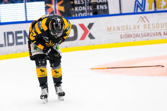 Skellefteås Edwin Hedberg