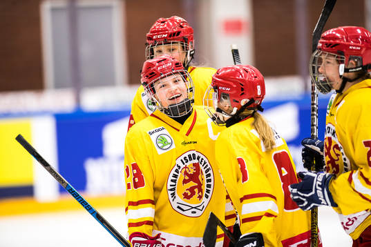 Bla gjennom flere bilder av Ishockey, Stålbucklan, Bronsmatch, Småland - Skåne/Blekinge
