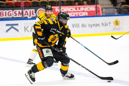 Skellefteås Edwin Hedberg