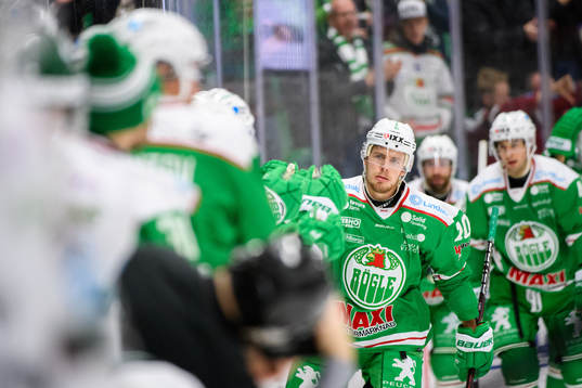 Rögles Matt Carey jublar