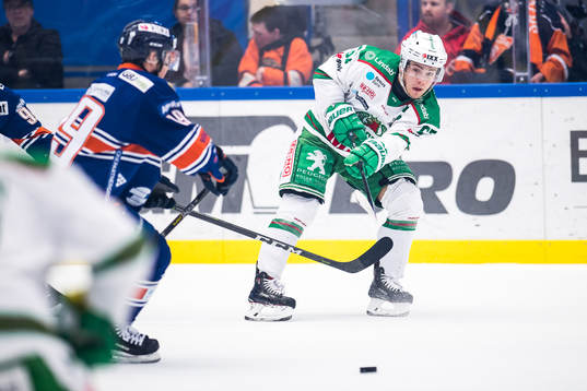 Rögles Leon Bristedt