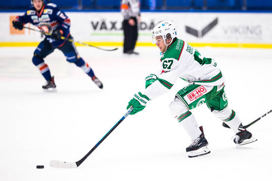 Rögles Leon Bristedt