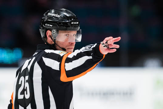 Domare Tobias Björk