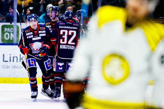 Linköpings Almen Bibic jublar