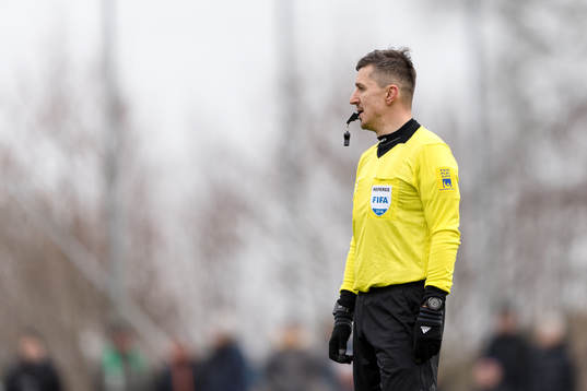 Domare Bojan Pandzic