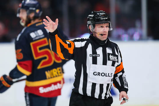 Domare David Bergman