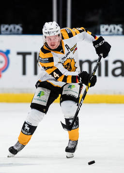 Skellefteås Bud Holloway