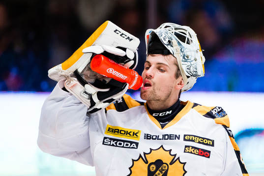 Skellefteås målvakt Mantas Armalis