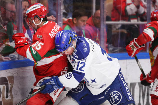 Moras Michael Haga och Leksands Wilde Bröms