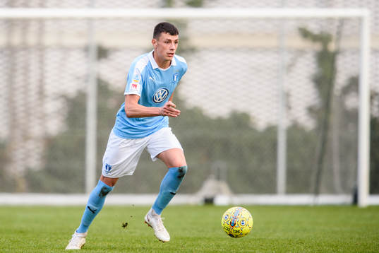 Malmö FFs Anel Ahmedhodzic