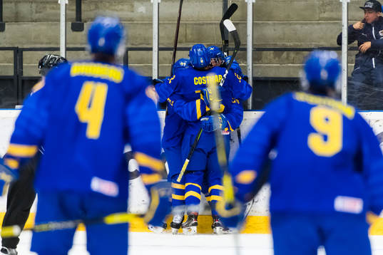 Sveriges spelare jublar