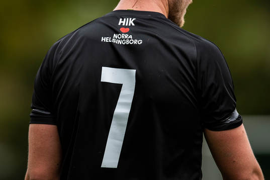 Ryggtavlan av Hittarps Johan Wester