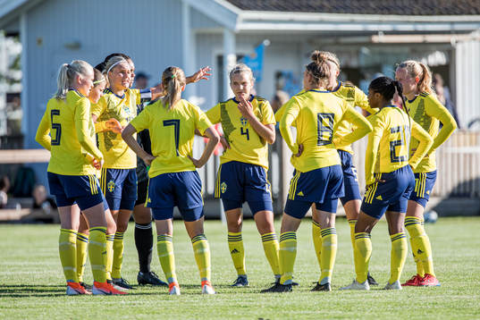 Sveriges spelare samlade