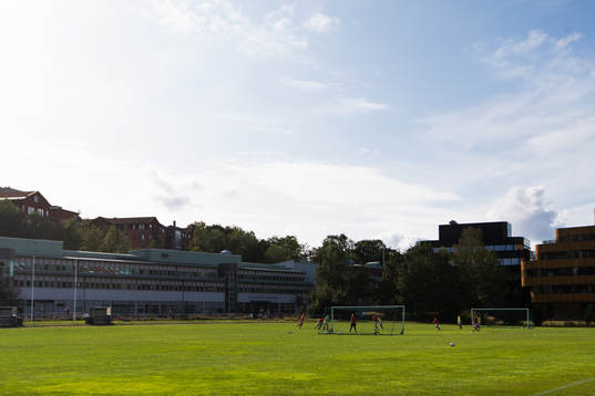 Generell vy över Mossens Idrottsplats