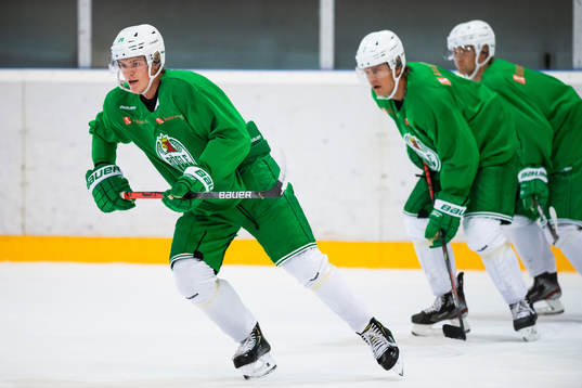 Bla gjennom flere bilder av Ishockey, Rögle, Träning