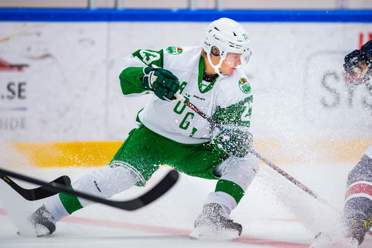 Rögles  Anton Heikkinen
