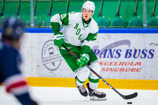Rögles  Hampus Gustafsson