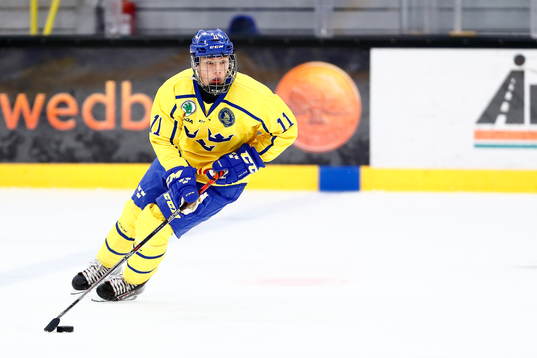 Sveriges Fabian Lysell