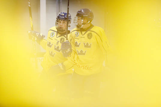 Sveriges spelare jublar