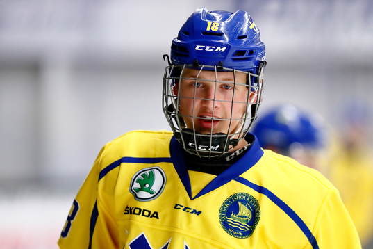 Sveriges Viggo Olsson