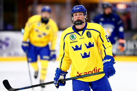 Sveriges Victor Sjöholm