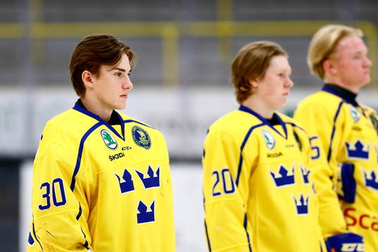 Sveriges målvakt Viggo Andrén