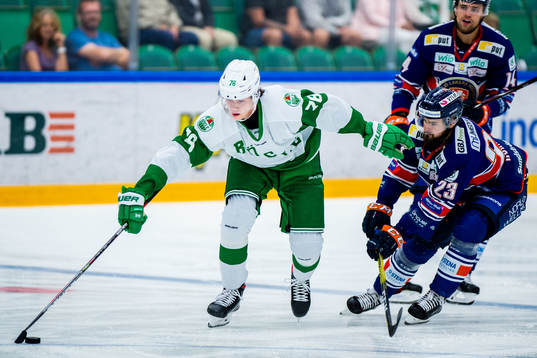 Rögles Dominik Bokk och Växjös Roman Horak