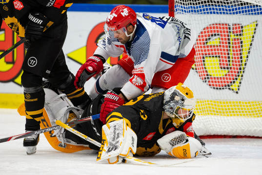 Damien Fleury of Grenoble and goalkeeper Oskar Östlund of