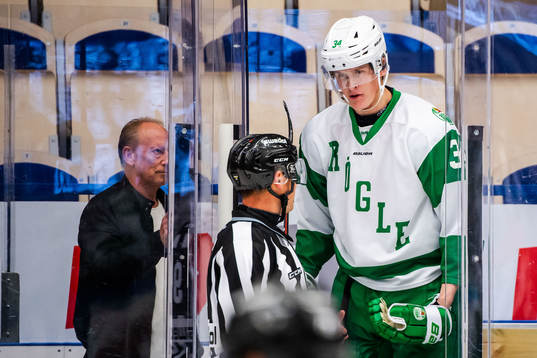 Rögles Adam Edström i utvisningsbåset