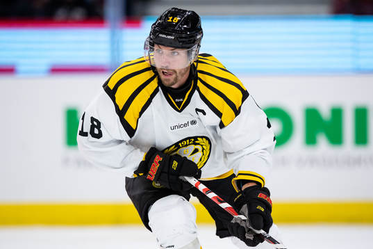 Brynäs Anton Rödin