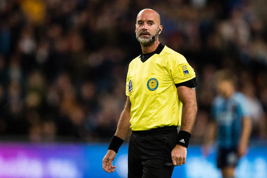 Domare Stefan Johannesson