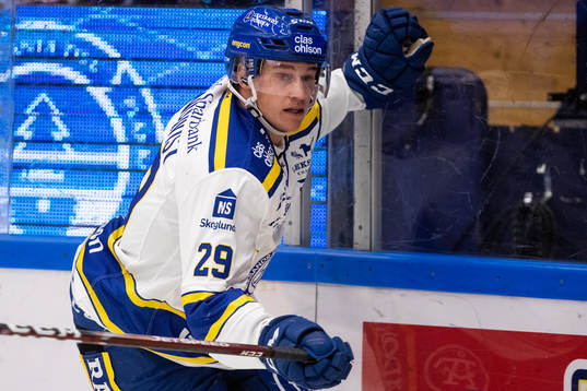 Leksands David Rundqvist